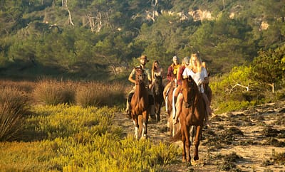 Horseback Riding, Mallorca